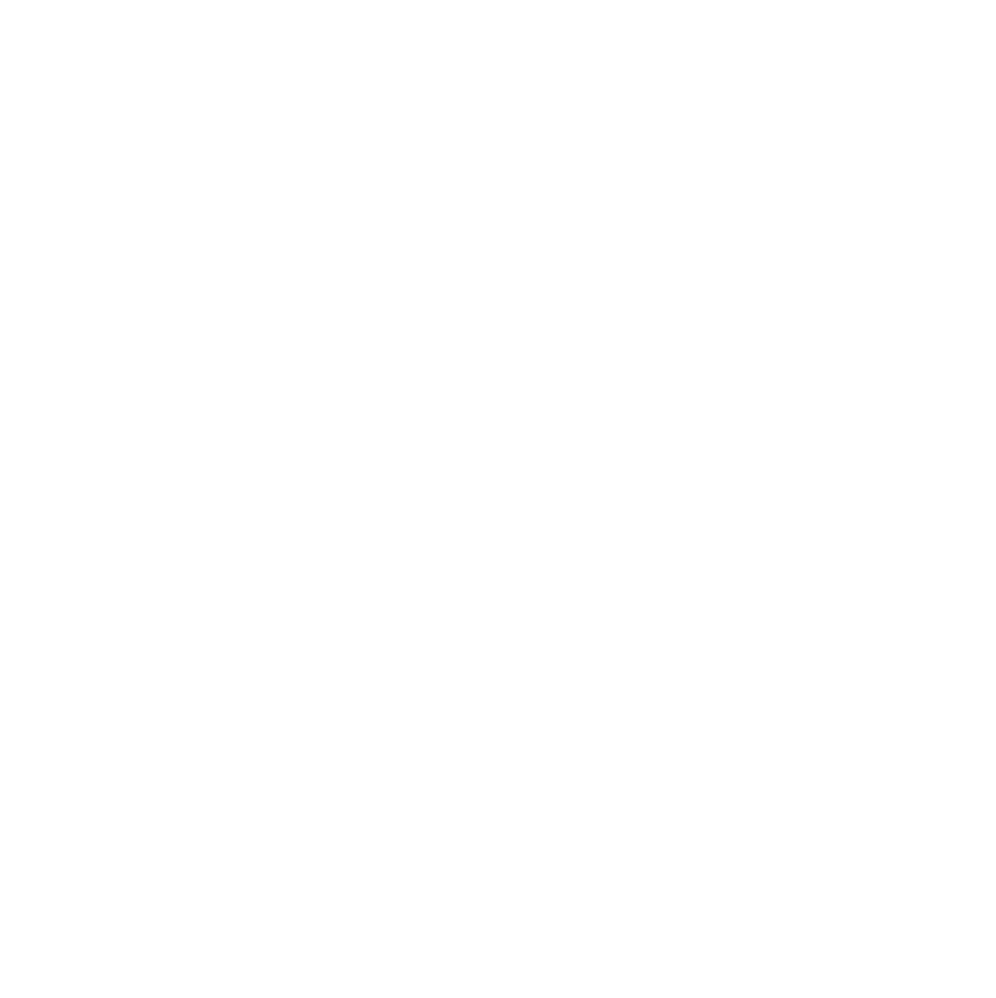 Google-Icon